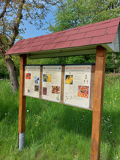 Alles Wissenswerte über die Honigbiene gibt es beispielsweise am Hosenfelder Lehrbienenstand zu erfahren.